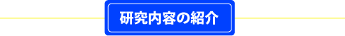 研究内容の紹介
